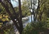Trees in the foreground with a small river running through the center of the photo. The leaves on the trees are green and the water sparkles with reflected sunlight.