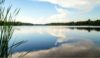 A panoramic view of a placid lake surrounded by green trees in Forestville, Wisconsin.