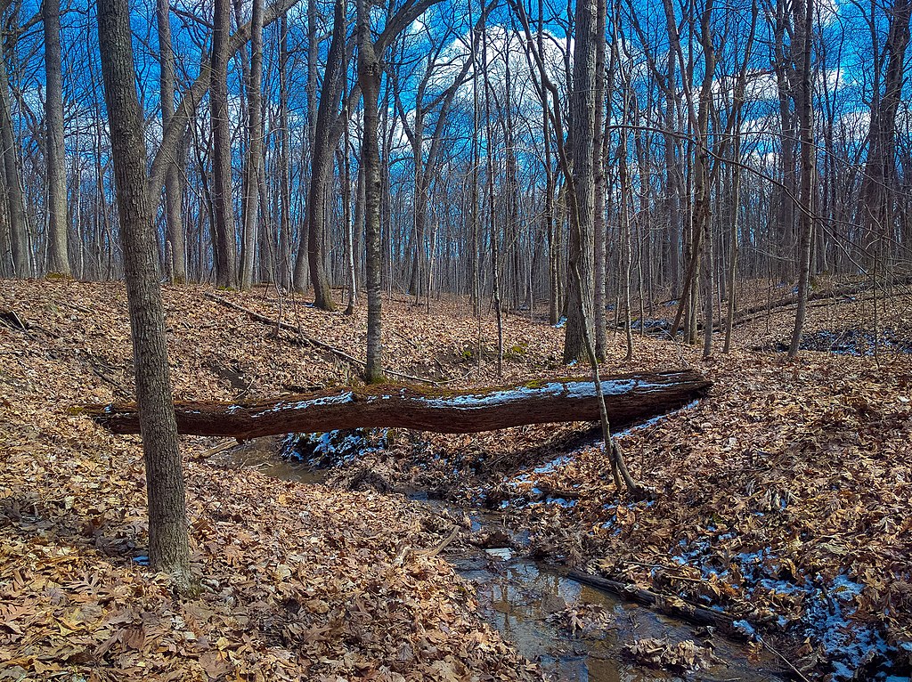 We Buy Houses Muskego Sell My House Fast in Muskego, WI